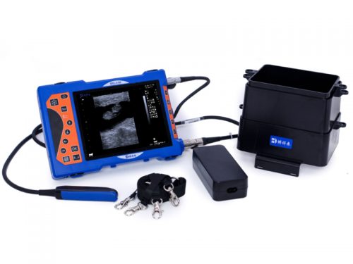portable veterinary ultrasound