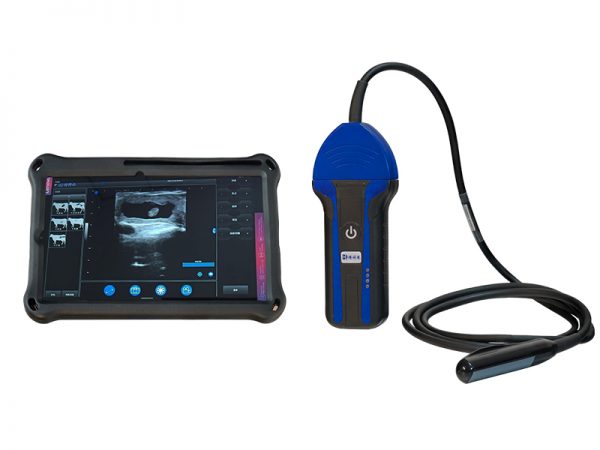 wireless veterinary ultrasoud BXL-S100