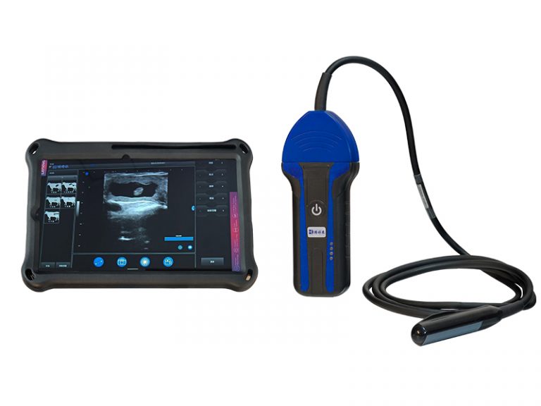 wireless veterinary ultrasoud BXL-S100