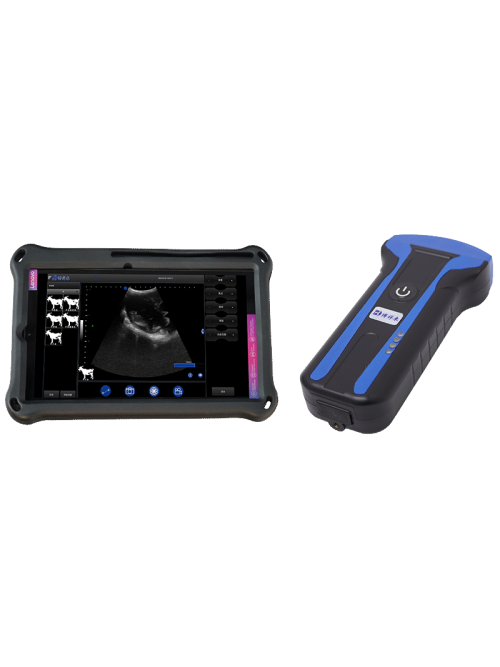 BXL-101 WIreless veterinary ultrasound