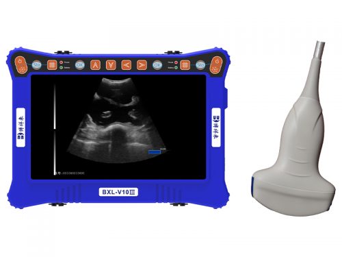 portable veterinary ultrasound