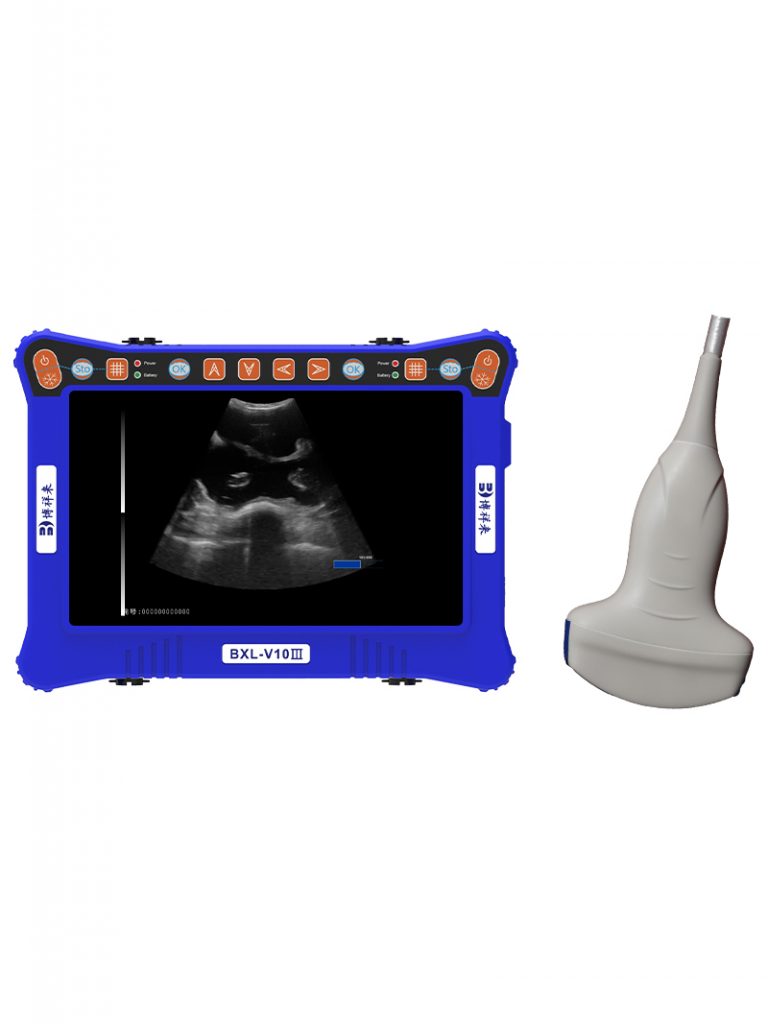 veterinary ultrasound