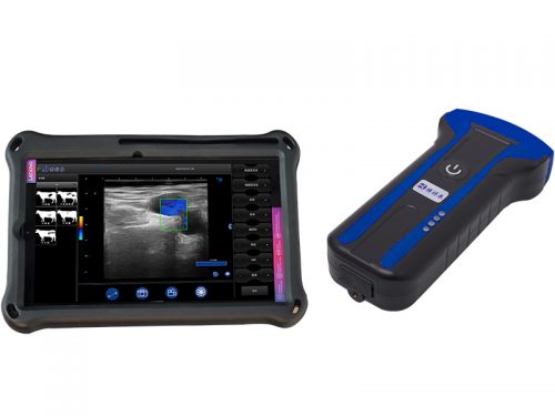 Wireless Veterinary Ultrasound BXL-S101