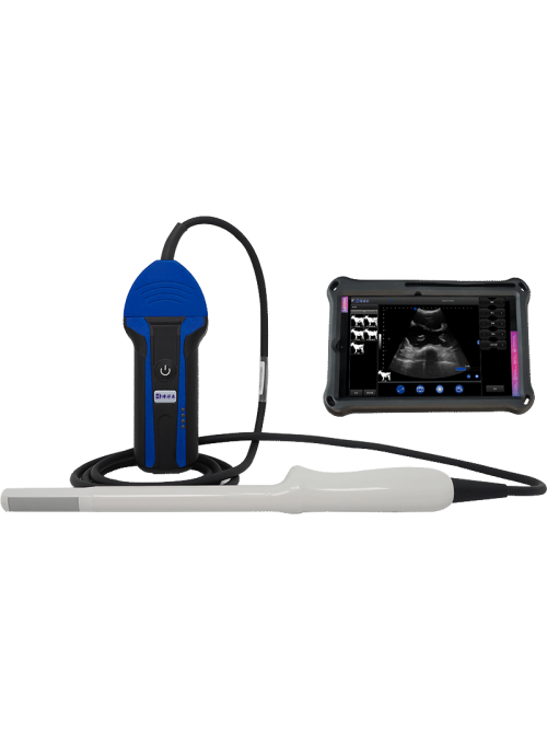 BXL-S103 portable Wireless veterinary ultrasound
