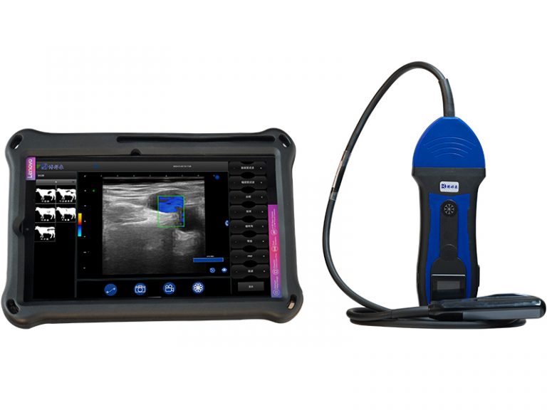 portable wireless veterinary ultrasound BXL-S200
