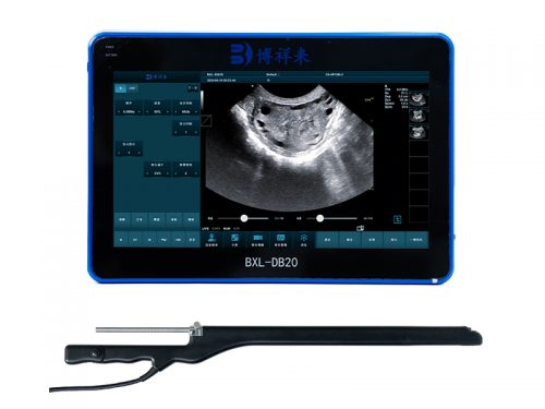 BXL-DB20 Color Doppler Cattle Horse OPU veterinary ultrasound
