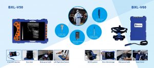 BXL Ultrasound Device for Horse Testing Price: A Comprehensive Guide
