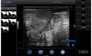 BXL Wireless Veterinary Ultrasound Instrument for Cows