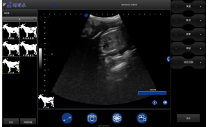 BXL Portable Veterinary Ultrasound for Cattle