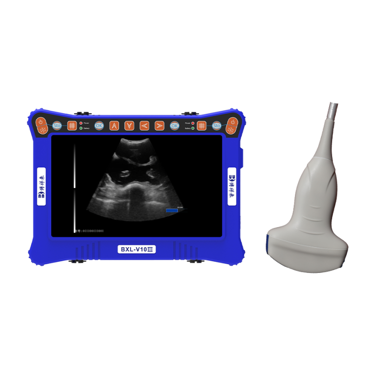 BXL-V10Ⅲ Portable veterinary ultrasound machine
