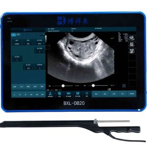 veterinary live egg collection ultrasound instrument