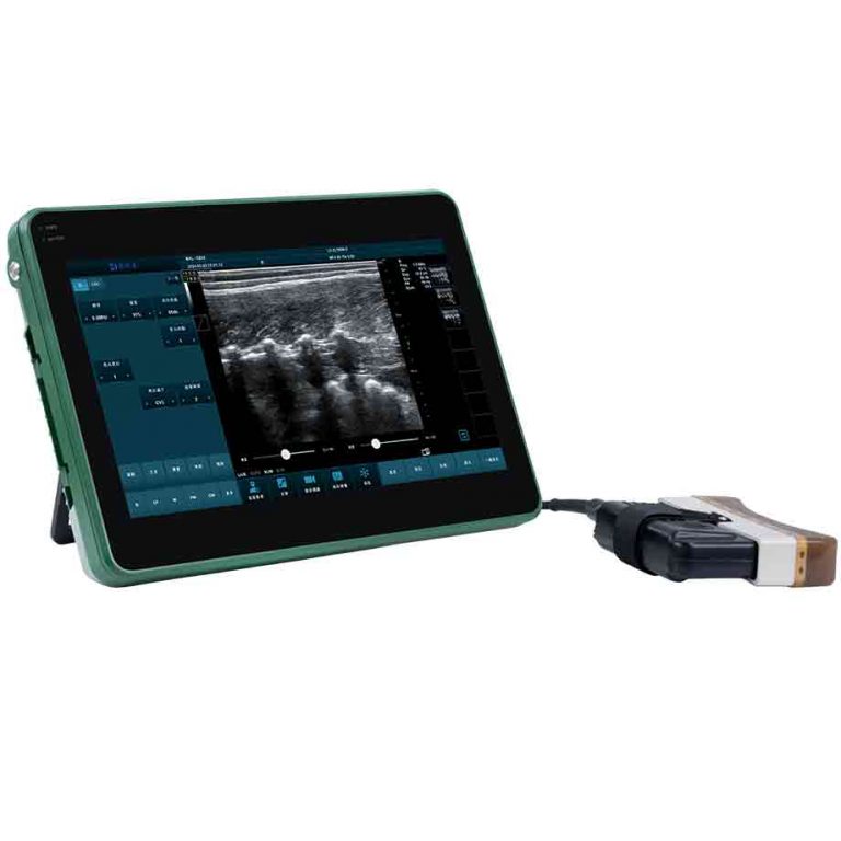 veterinary ultrasound