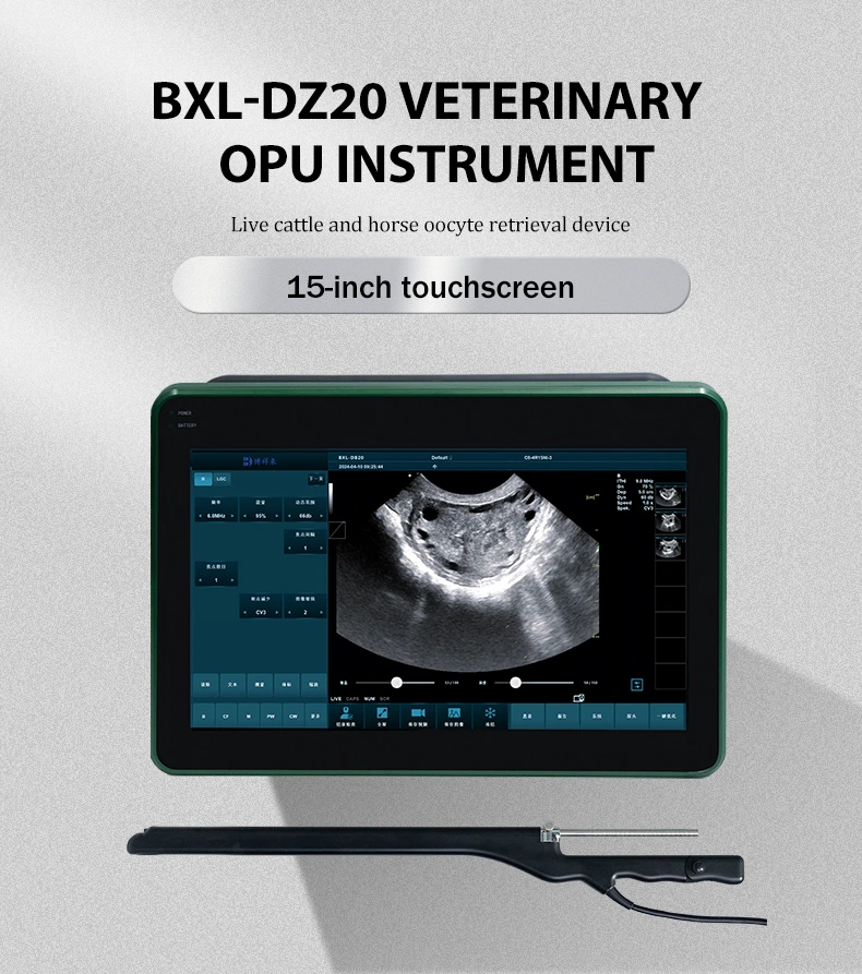 BXL-DZ20 Veterinary OPU Ultrasound Instrument