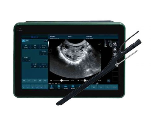 BXL-DZ20 Multifunctional Veterinary OPU Instrument
