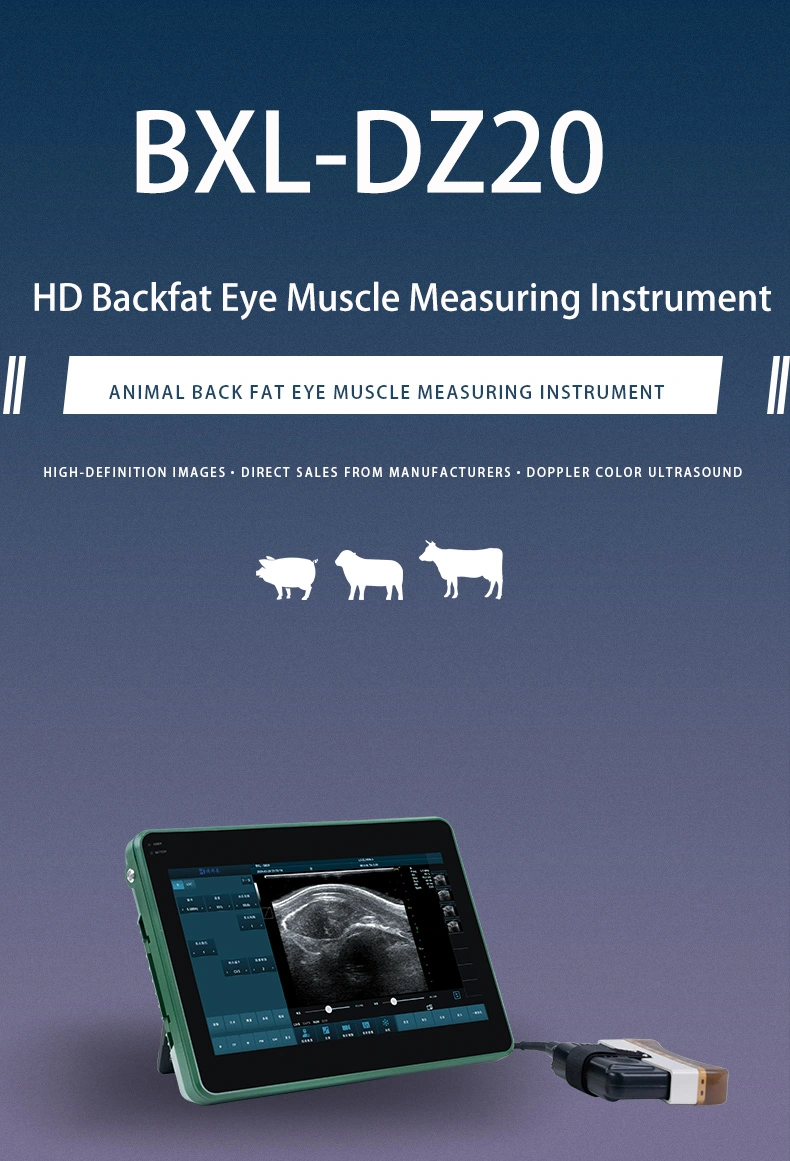 BXL-DZ20 Veterinary back fat eye muscle measuring instrument