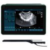 BXL-DZ20 Multifunctional Veterinary OPU Instrument