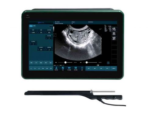 BXL-DZ20 Multifunctional Veterinary OPU Instrument