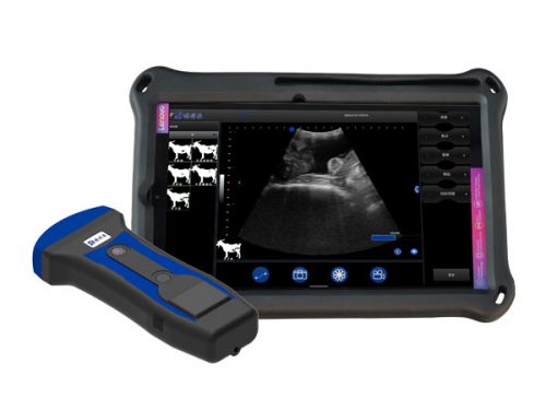 BXL-S201 portable doppler veterinary ultrasound machine