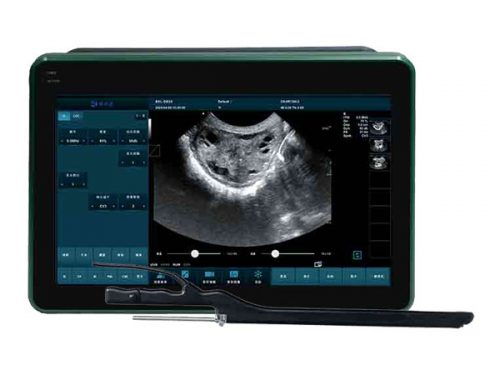 BXL-DZ20 Multifunctional Veterinary OPU Instrument