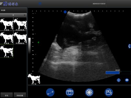 BXL-S201 portable doppler veterinary ultrasound machine