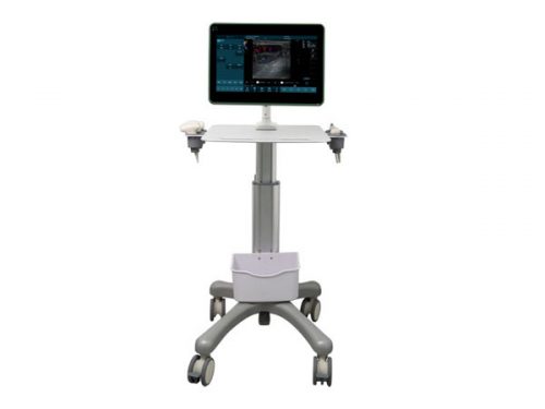 BXL-DZ20 Determination of pig backfat thickness and loin area