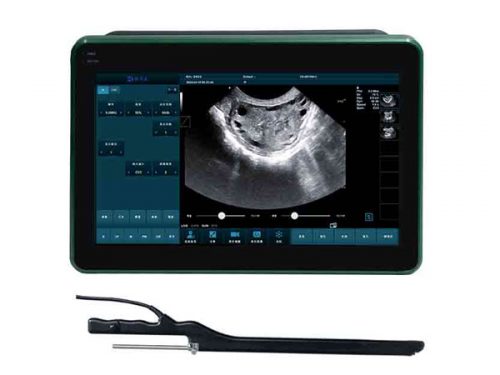 BXL-DZ20 Multifunctional Veterinary OPU Instrument
