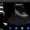 BXL-S201 portable doppler veterinary ultrasound machine