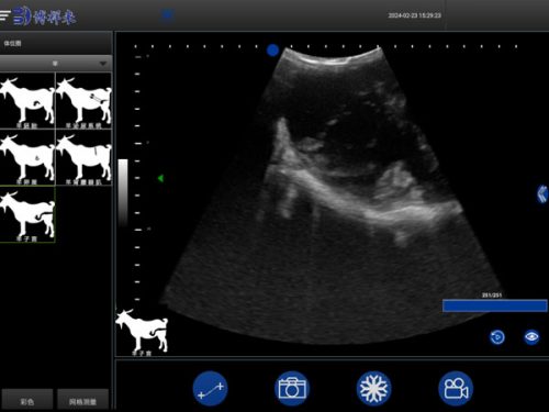BXL-S201 portable doppler veterinary ultrasound machine