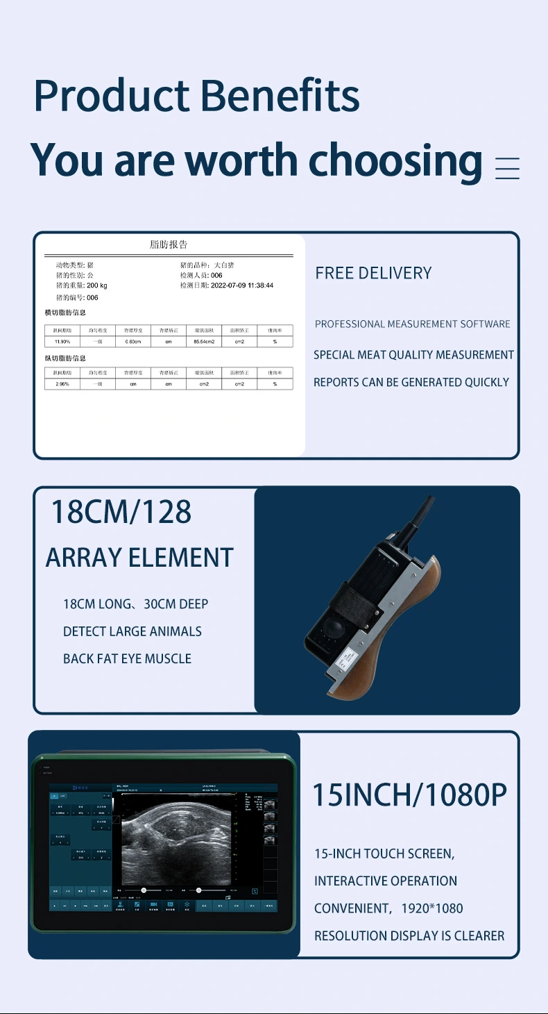 BXL-DZ20 Veterinary back fat eye muscle measuring instrument