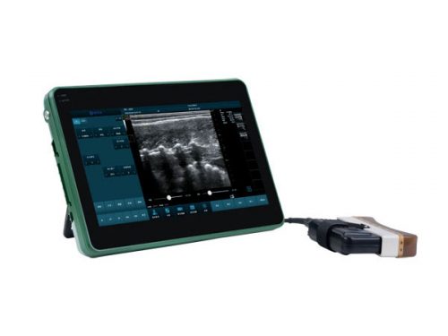 BXL-DZ20 Determination of pig backfat thickness and loin area