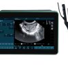 BXL-DZ20 Multifunctional Veterinary OPU Instrument