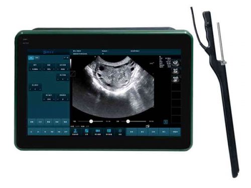 BXL-DZ20 Multifunctional Veterinary OPU Instrument