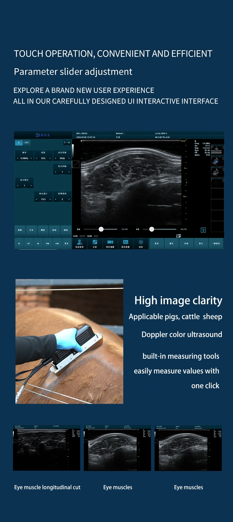 BXL-DZ20 Veterinary back fat eye muscle measuring instrument
