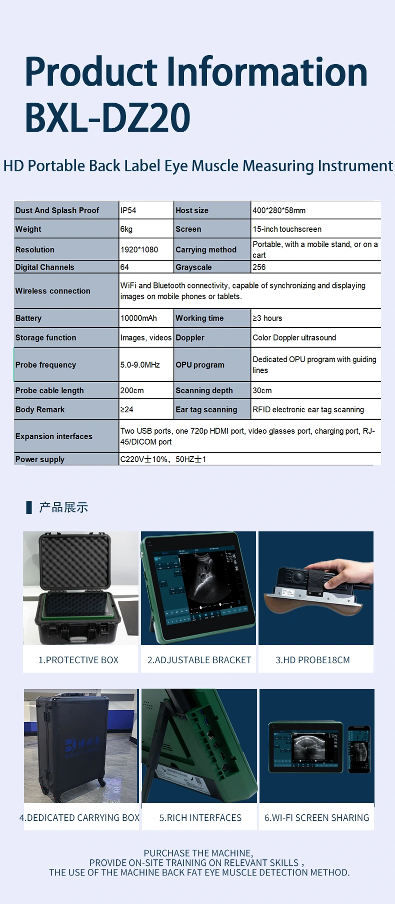 BXL-DZ20 Veterinary back fat eye muscle measuring instrument