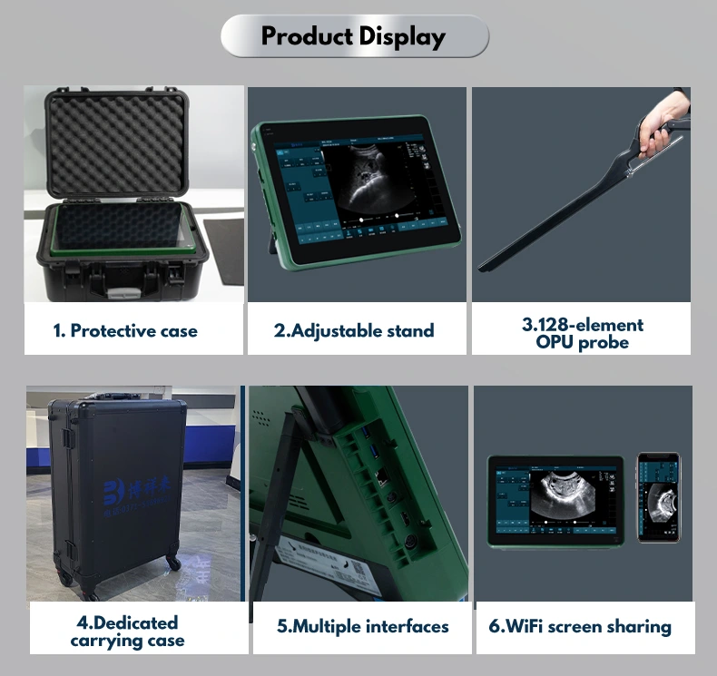 BXL-DZ20 Veterinary OPU Ultrasound Instrument