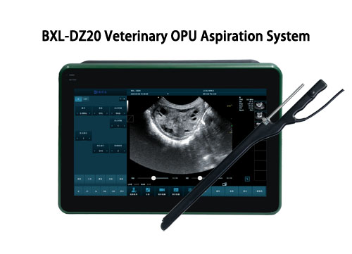 Optimizing Ovum Pick-Up Protocols for Enhanced Embryo Production in Livestock