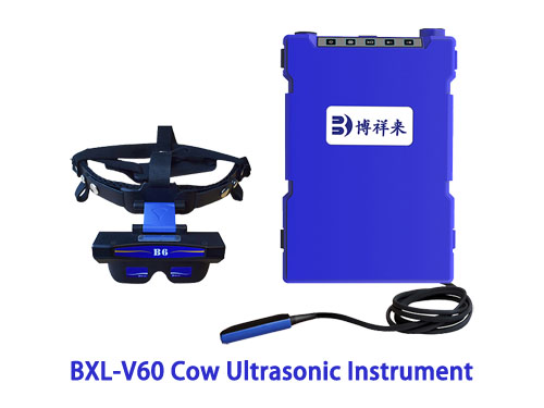 Cow ultrasound How to Use Ultrasound Instruments to Increase Milk Production in Cows