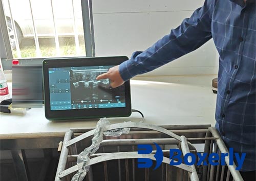 What is the importance of Backfat thickness to reproductive performance in female pigs?