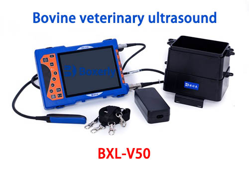 veterinary ultrasound Can a Cattle Ultrasound Work for Detecting Pregnancy in Sows If You Switch the Probe?