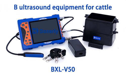 BXL-V50 Ultrasonic equipment for cattle Reasons Why Cows Experience Prolonged Open Periods