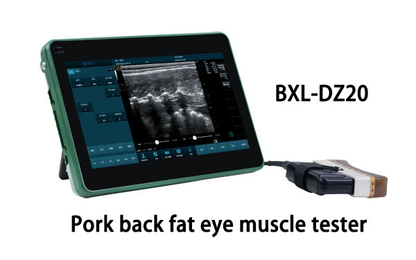 What is the importance of Backfat thickness to reproductive performance in female pigs?