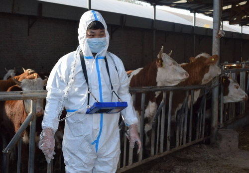 5 Easy-to-Miss Maintenance Tips for Cattle Ultrasound Machines You Should Know