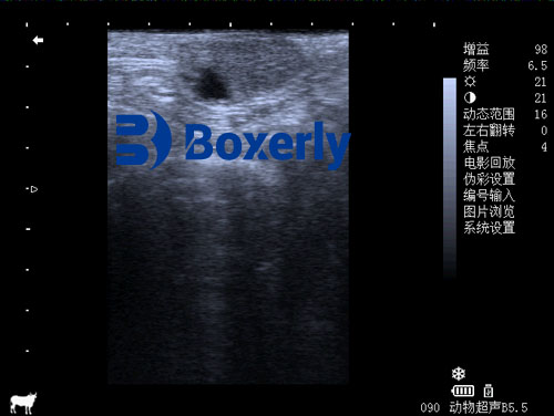 Bovine Corpus Luteum Ultrasound How Much Does a Veterinary Ultrasound Machine Cost?