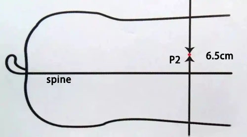 What is the importance of Backfat thickness to reproductive performance in female pigs?