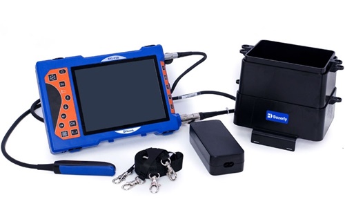 Reliability of Ultrasound Pregnancy Tools in Multiparous Dairy Cows