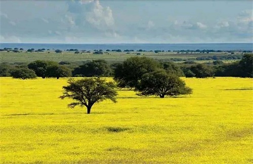 Why Livestock Farming is Vital to Economy and Society