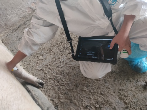 Can a Vet Ultrasound Machine Be Used on Humans?