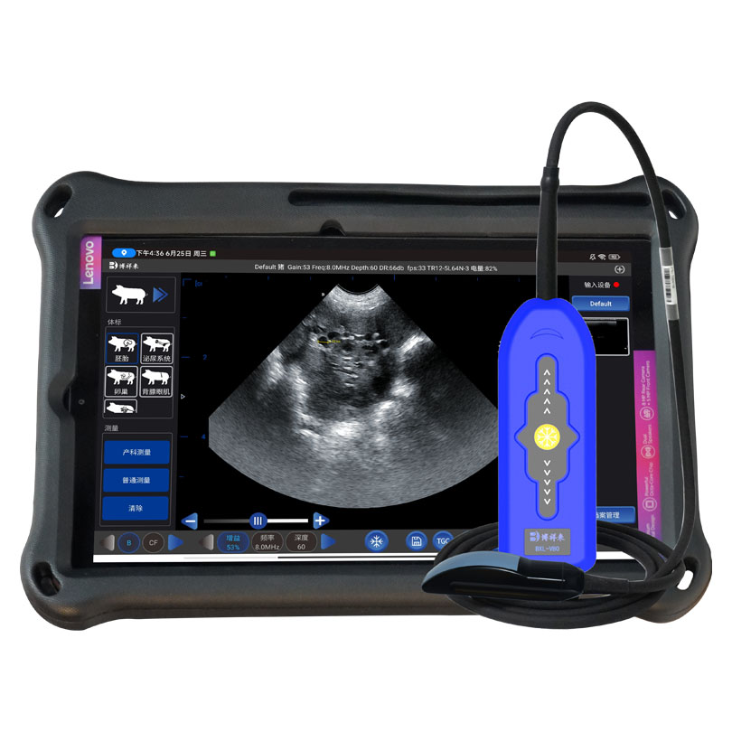 Купить УЗИ сканер ветеринарный: допплеровские технологии для точной диагностики