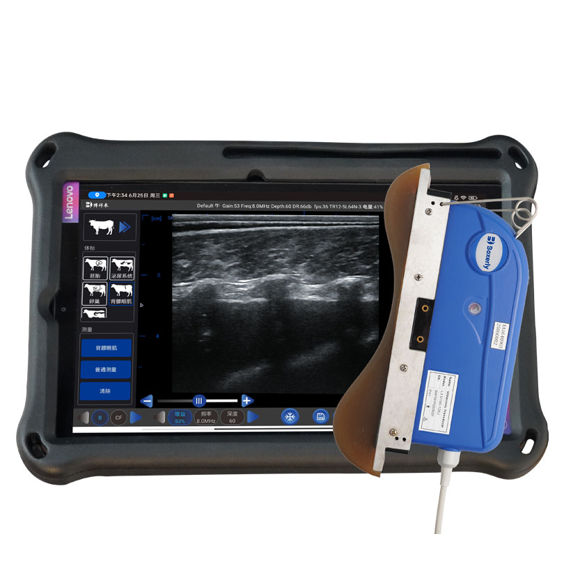 Portable Veterinary Ultrasound: The Essential Imaging Tool for Modern Animal Healthcare