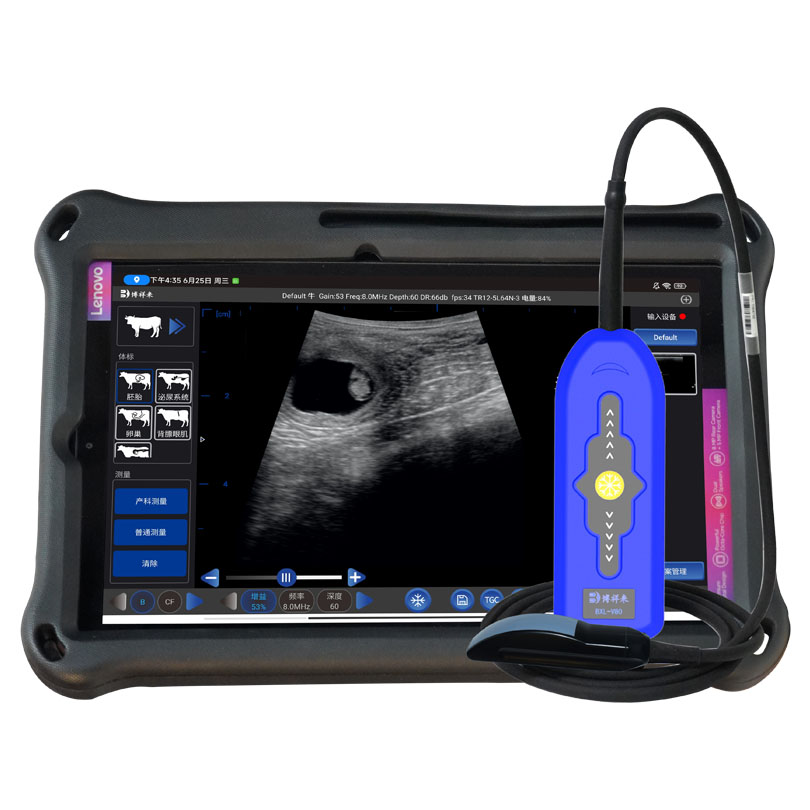 Recent Industry Updates on Bovine Ultrasound Machines